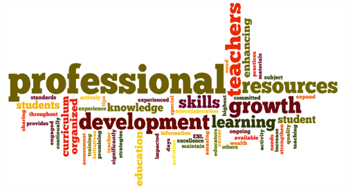 Professional Development in a word scape with other words surrounding it